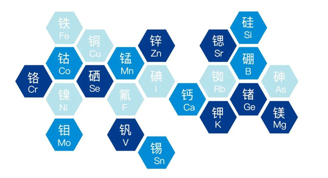 2022.9.16功能農(nóng)業(yè)首次走進(jìn)楊凌農(nóng)高會(5).jpg